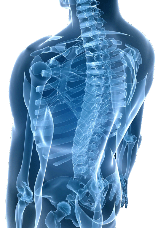 BackSpineImageFULL 2